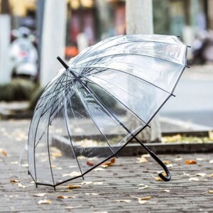 에이지리스에비뉴 튼튼한 고급 자동우산 투명 비닐 장우산 골프우산